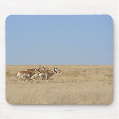 Galloping Antelope Mouse Pads by StormShooter