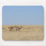 Galloping Antelope mousepads