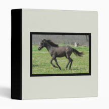 Galloping Colt Binder