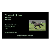 Galloping Colt on a Business Card