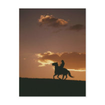 Galloping Cowboy Silhouette Postcards