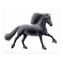 Galloping Friesian Horse Pocket Calendar Postcard