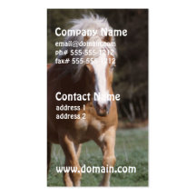Galloping Palomino Business Cards