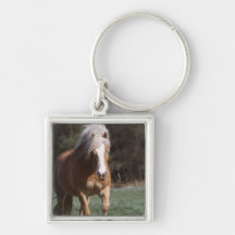 Galloping Palomino Keychain