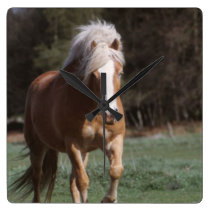 Galloping Palomino Wall Clock wall clocks