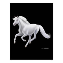 Galloping White Horse Postcard