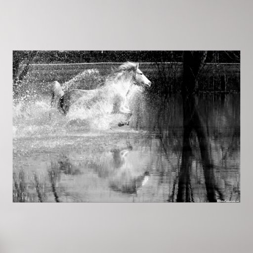 Galloping White Water Horse Print