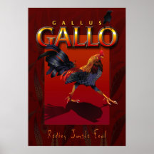 Gallus Gallo Posters