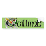 Galway (Gaelic) Bumper Sticker bumper stickers