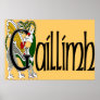 Galway (Gaelic) Poster Print