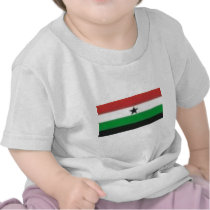 Gamabella Flag t-shirts