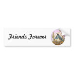 Gambel Quail Friends Bumper Sticker