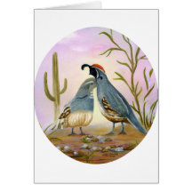 Gambel Quails Greeting Cards