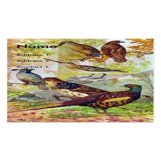 Game Birds Business Card Template