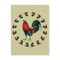 Game Cock Rooster Circle Post Cards