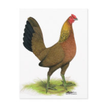 Game Hen Red Post Card