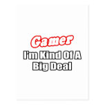 Gamer...Big Deal Postcard