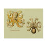 Gamochonia Horizontal Postcard
