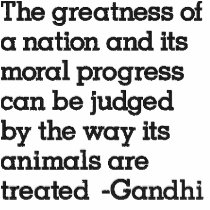 Gandhi & Humane Treatment of Animals Polo Shirt