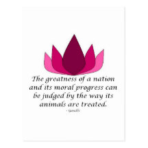 Gandhi Quote Postcard