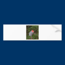 Gang-gang Cockatoo bumper stickers