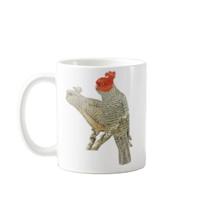 Gang-gang Cockatoo Pair - Callocephalon fimbriatum Coffee Mug by LisasLair