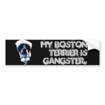 Gangster Boston Terrier Bumper Sticker