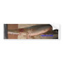 Gar Bumper Sticker