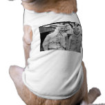 Gar Wood and Orlin Johnson - Vintage "Autographed" pet clothing