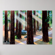 Garberville California Lanes Redwood Flats Resort Poster
