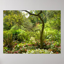 Garden 2011 10 poster