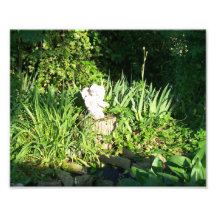 Garden Angel 2 Photo