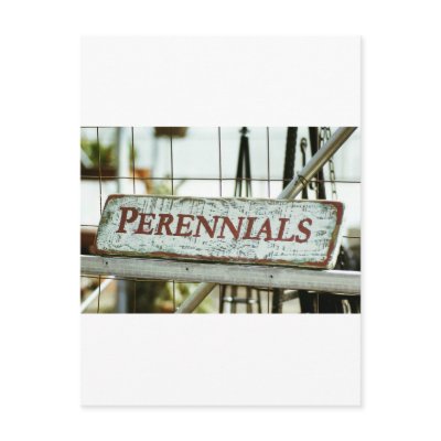 Garden Art, Perennials wooden sign, template Postcard by JayneLogan
