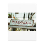 Garden Art, Perennials wooden sign, template postcards