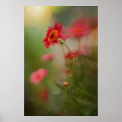 "Garden at Dawn" Fine Art Print by seedplanter