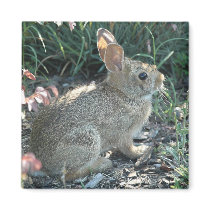 Garden Bunny Refrigerator Magnets