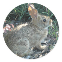 Garden Bunny Round Sticker