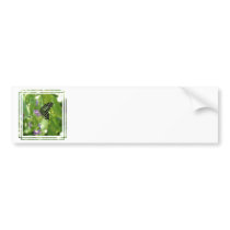 Garden Butterfly Bumper Sticker