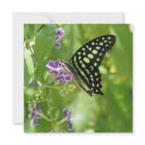Garden Butterfly Invitations
