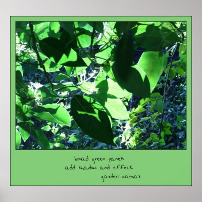 Garden Canvas Haiku Art Print by Reflekshins
