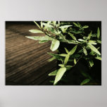 Garden Corner Photography Print
