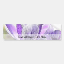 Garden Crocuses Bumper Sticker