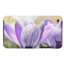 Garden Crocuses Barely There iPod Cases