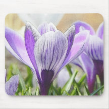 Garden Crocuses Mousepads