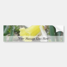 Garden Daffodil In Early Spring Bumper Stickers