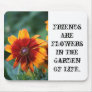 Garden Delight