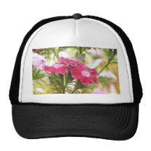 Garden Fantasy - Sweet Williams Mesh Hats