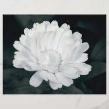 Garden flower flyers