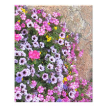 Garden Flowers and Rock photography