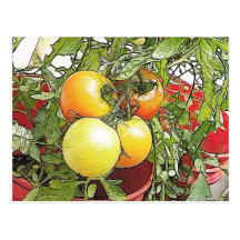 Garden Fresh Heirloom Tomatoes Post Card